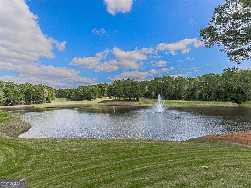 329 Lakebridge Crossing Canton - 76