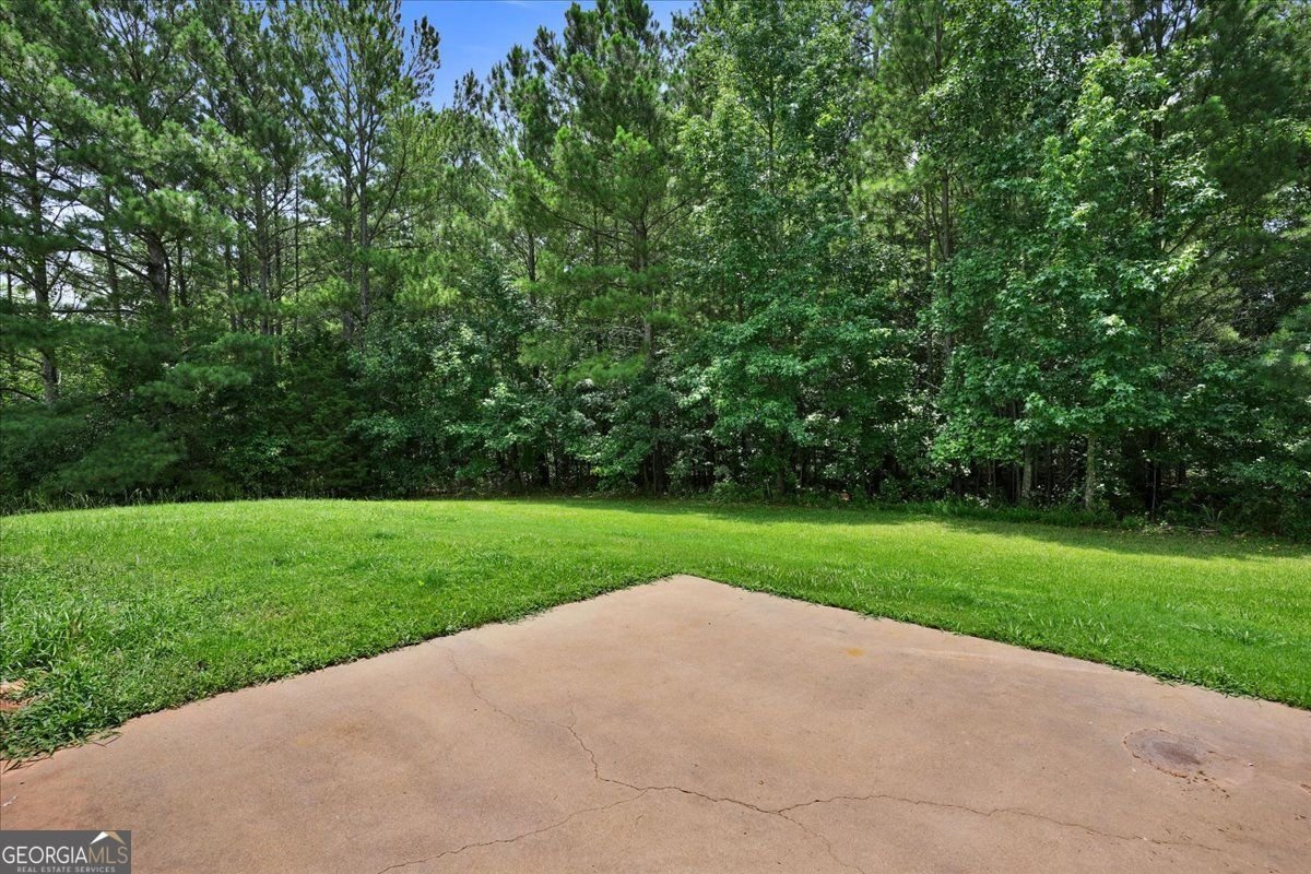 501 Barhams Ridge Drive McDonough - 25