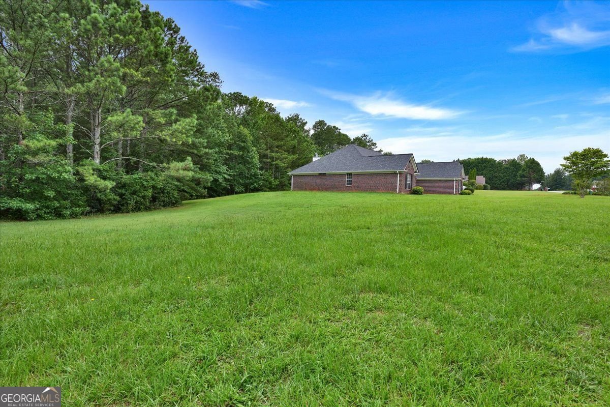 501 Barhams Ridge Drive McDonough - 30