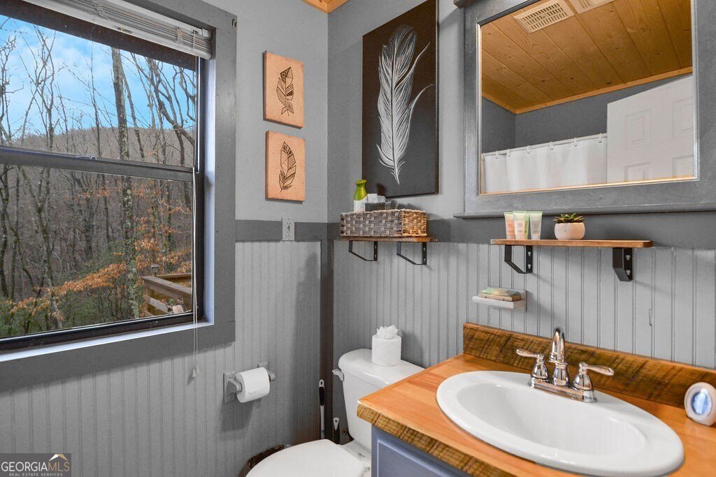 34 Garrett Circle Ellijay - 18