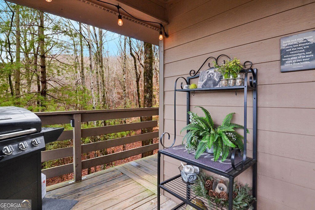 34 Garrett Circle Ellijay - 28