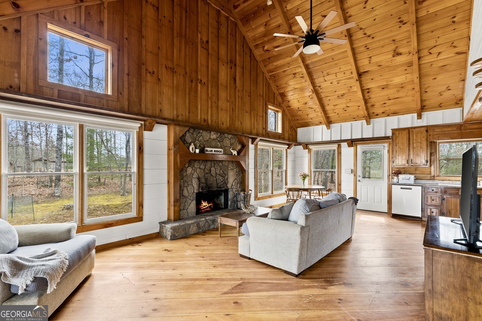 1994 Douthit Road Mineral Bluff - 19