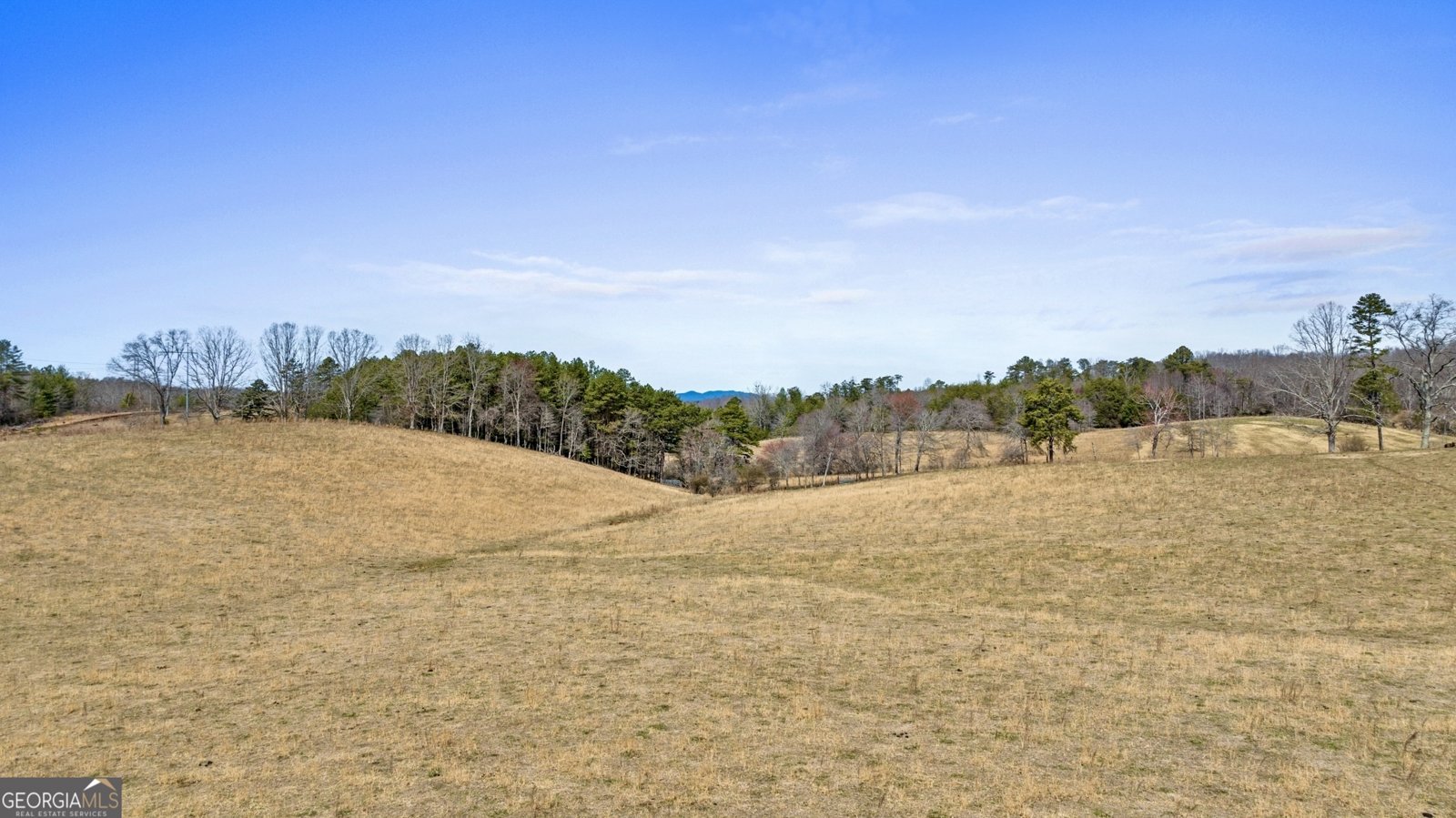 1994 Douthit Road Mineral Bluff - 2