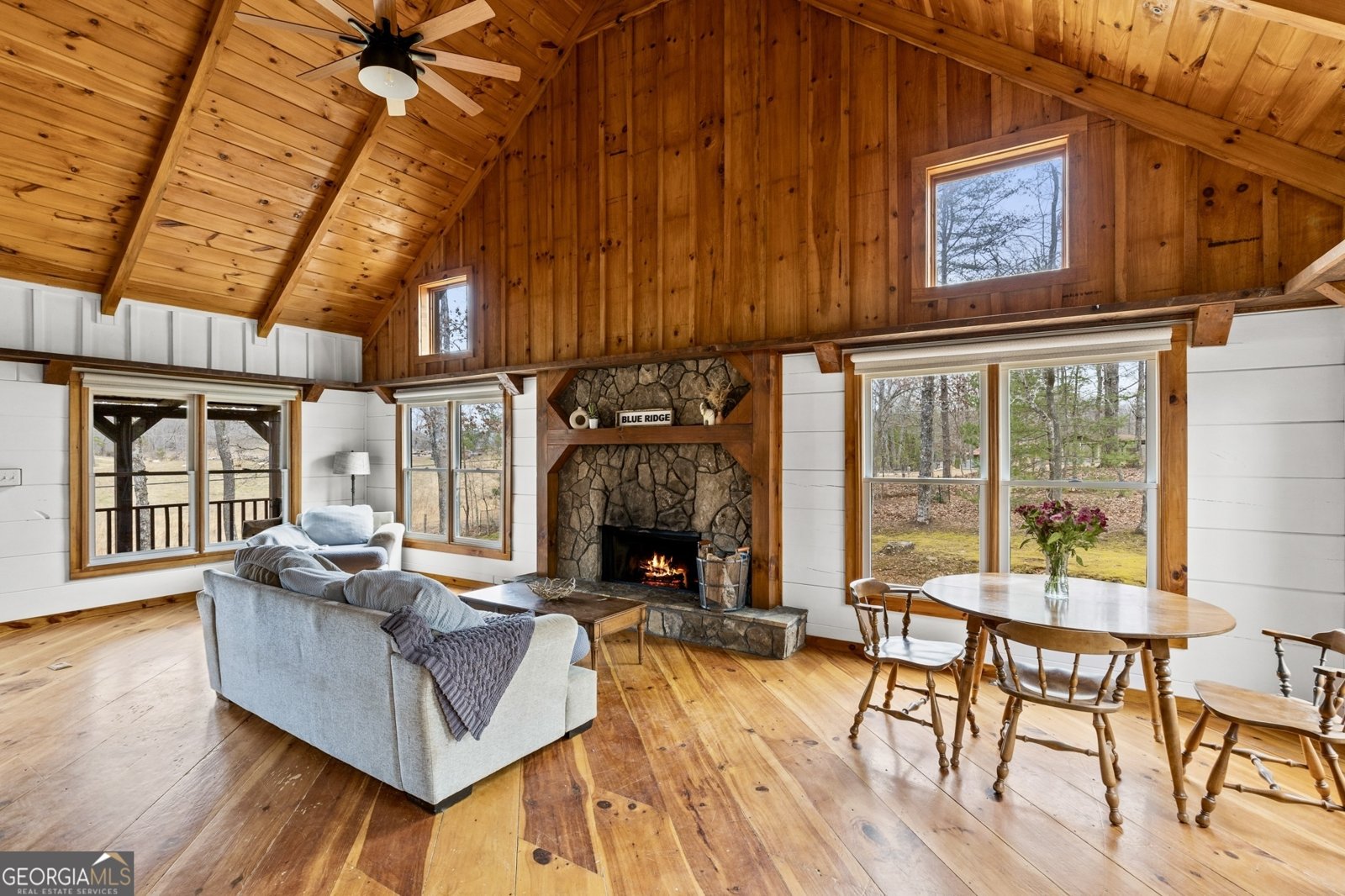 1994 Douthit Road Mineral Bluff - 20