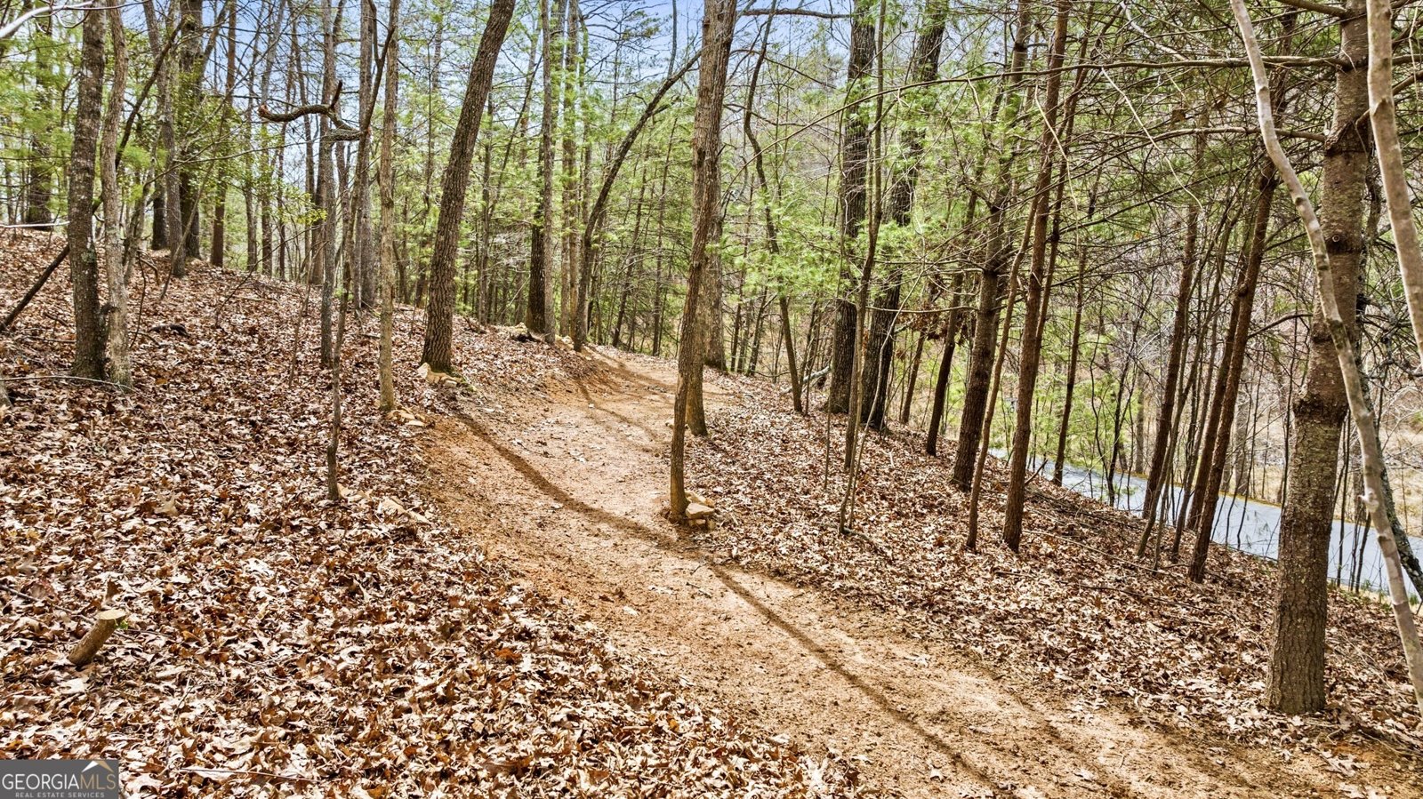 1994 Douthit Road Mineral Bluff - 39