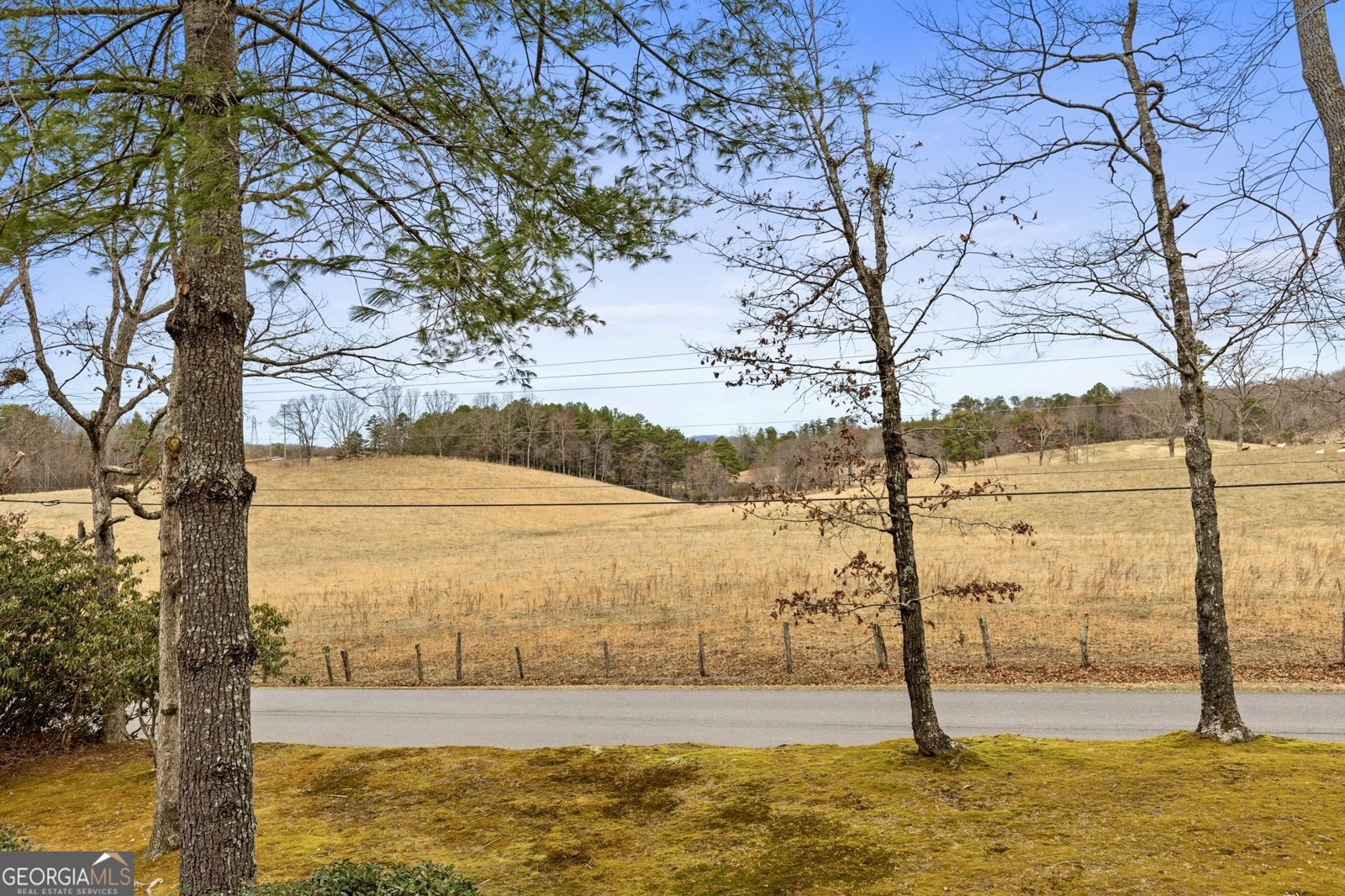 1994 Douthit Road Mineral Bluff - 7