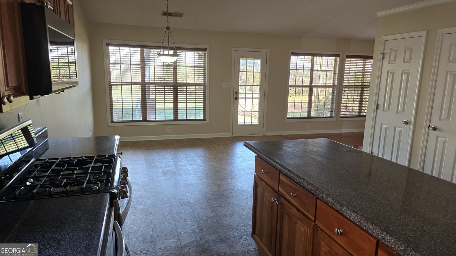 1006 Harbor View Lane McDonough - 3