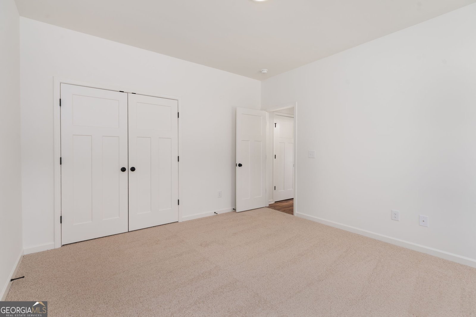 297 Bishop Road Meansville - 51