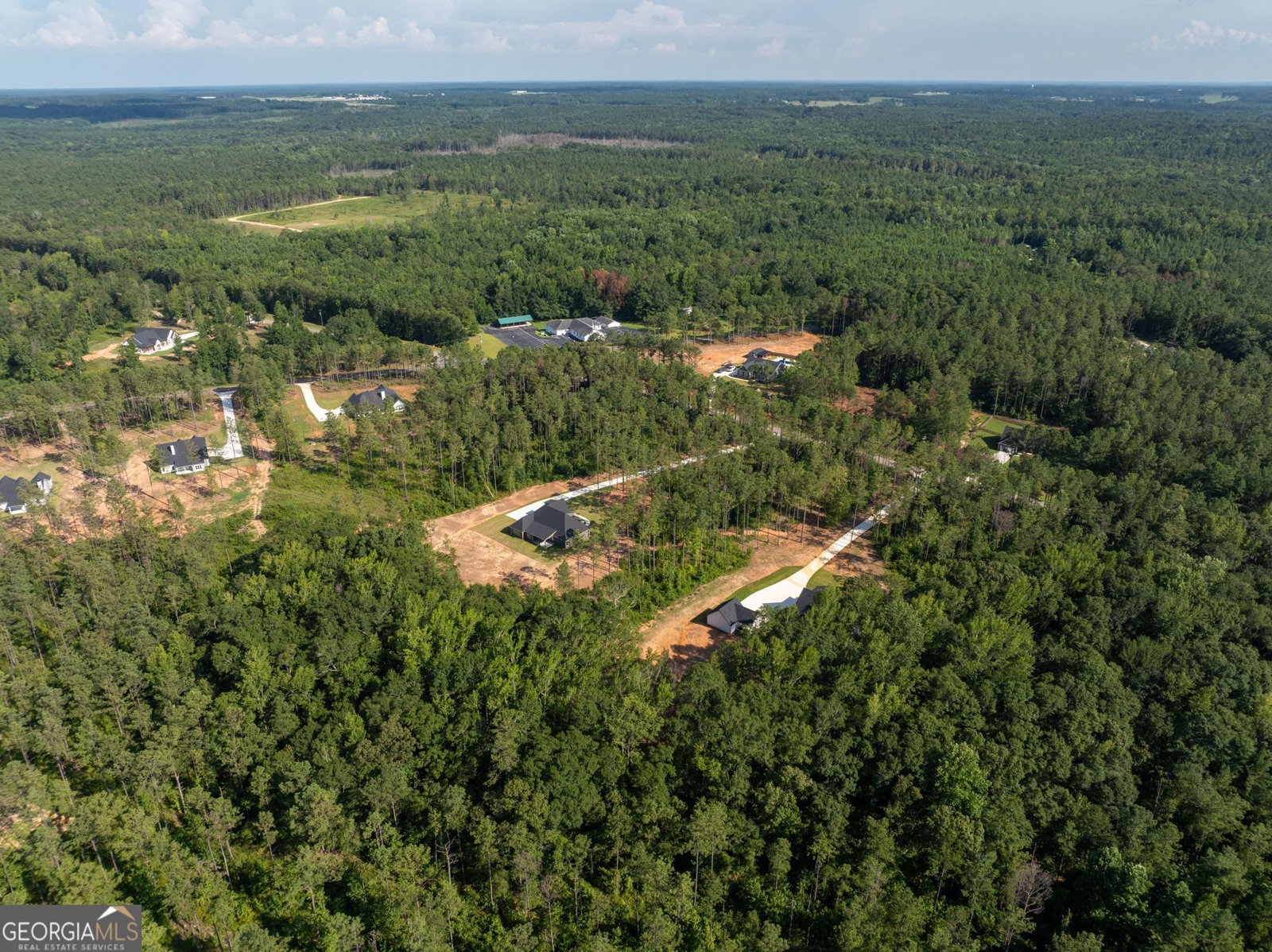 297 Bishop Road Meansville - 75