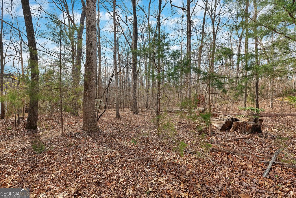 390 Lake Place Drive Lavonia - 32
