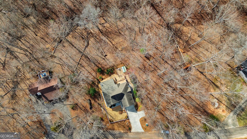 390 Lake Place Drive Lavonia - 33