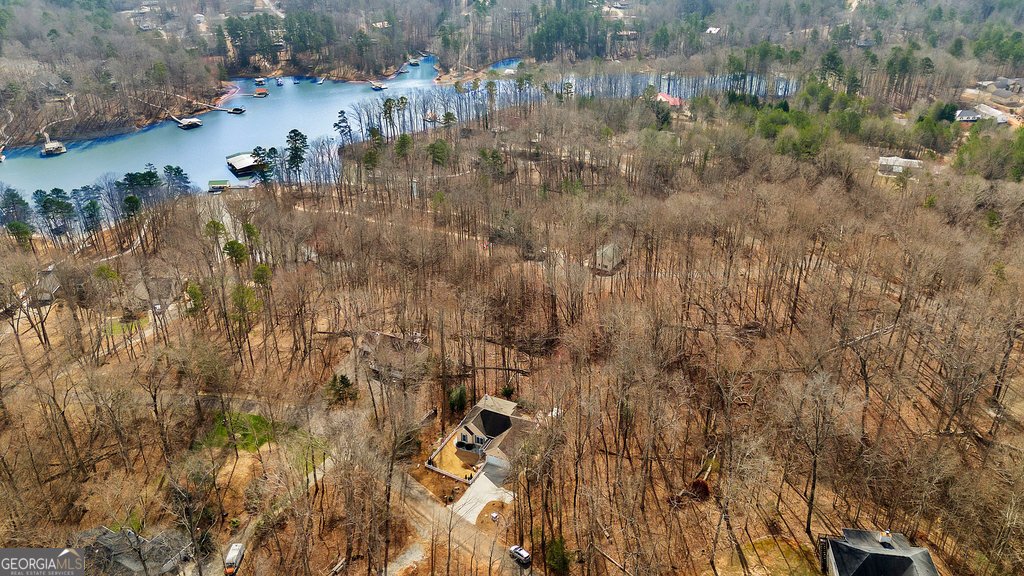 390 Lake Place Drive Lavonia - 34