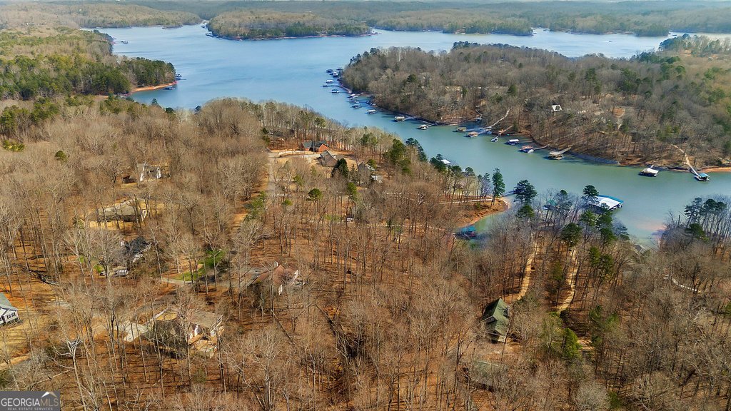 390 Lake Place Drive Lavonia - 36