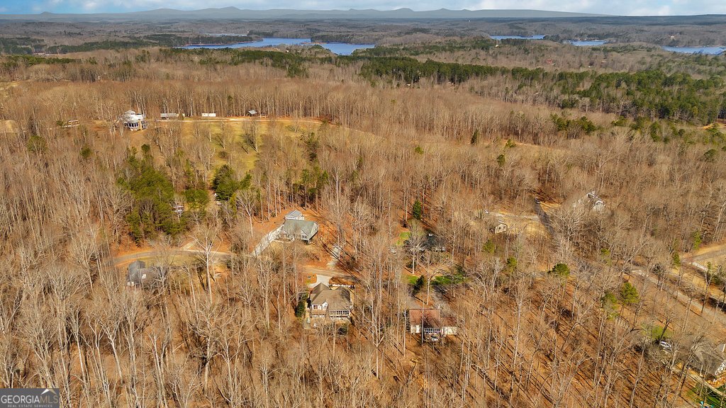 390 Lake Place Drive Lavonia - 37