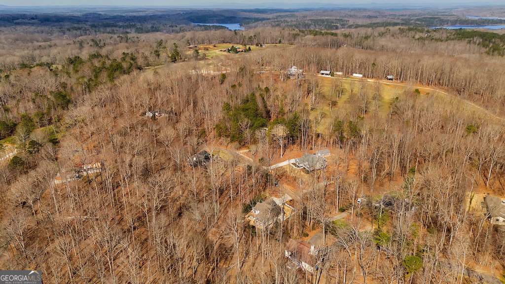 390 Lake Place Drive Lavonia - 39