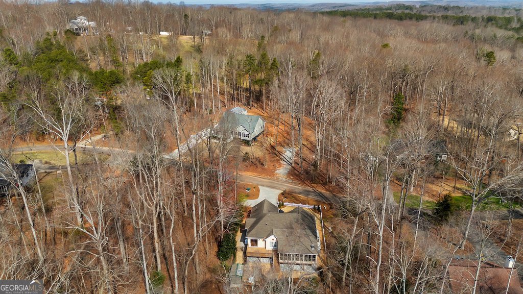 390 Lake Place Drive Lavonia - 40