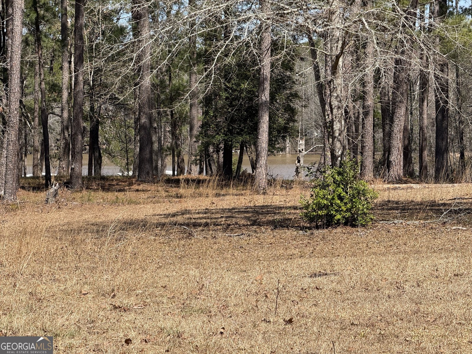 1117A Lbk Circle Tignall - 10