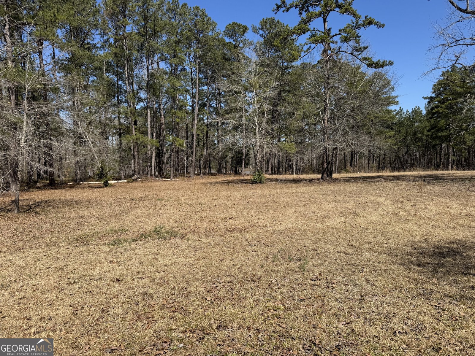 1117A Lbk Circle Tignall - 11