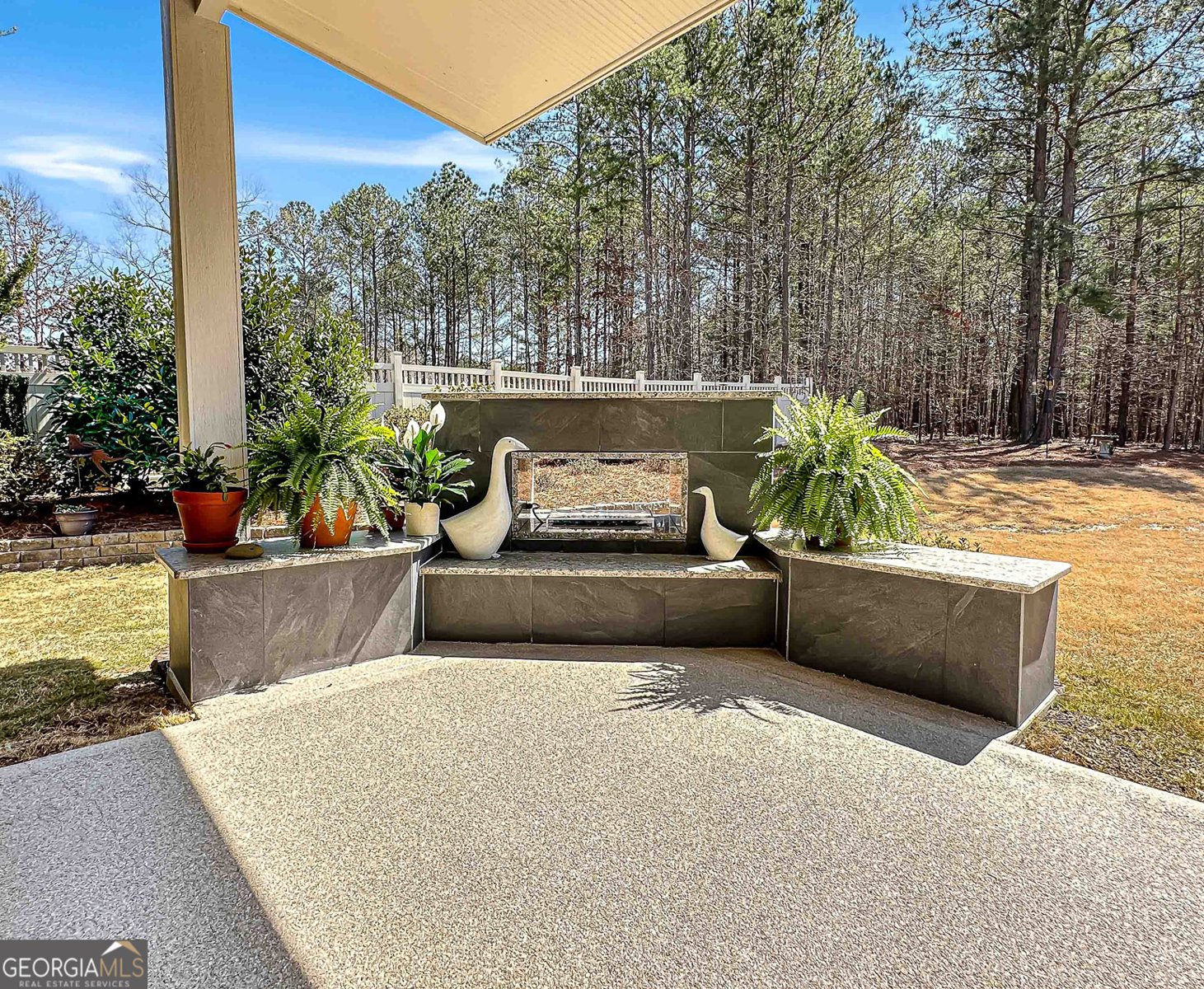 146 Magnolia Place Way Senoia - 36