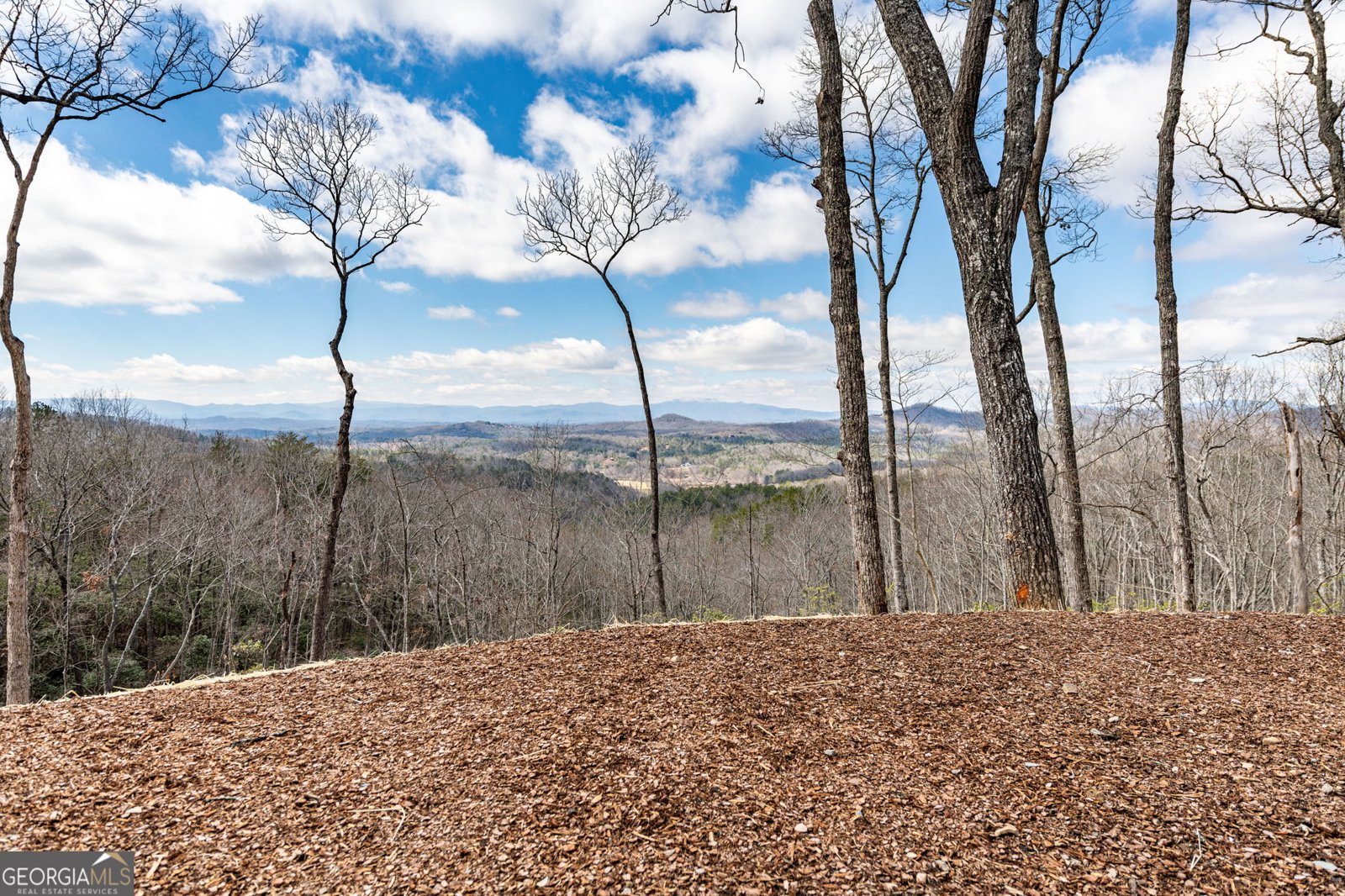 899 Dana Road Mineral Bluff - 100