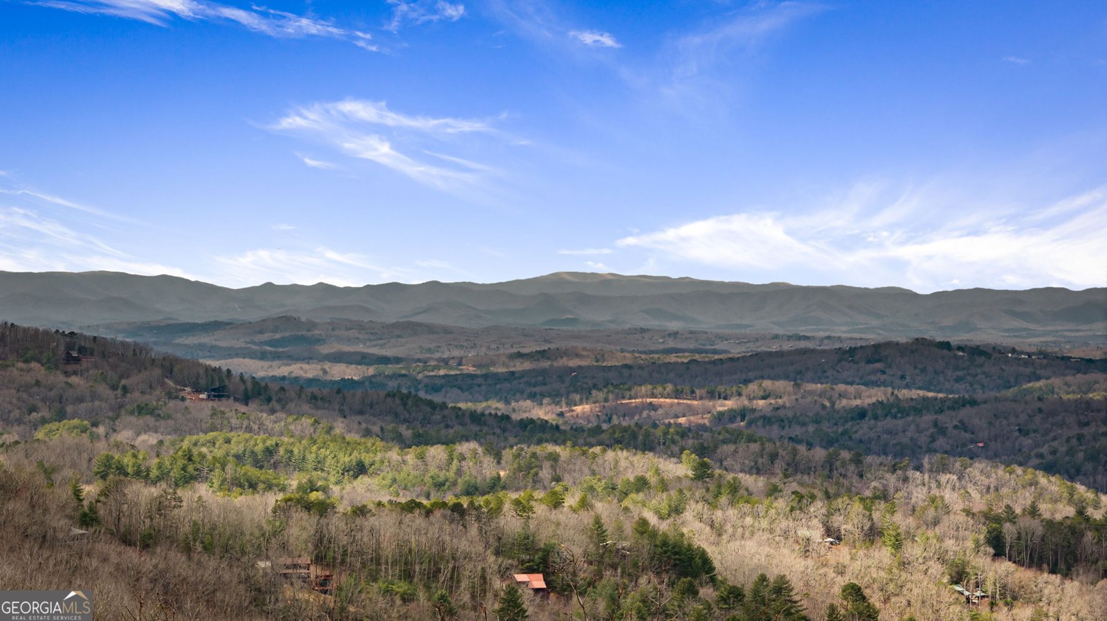 899 Dana Road Mineral Bluff - 78