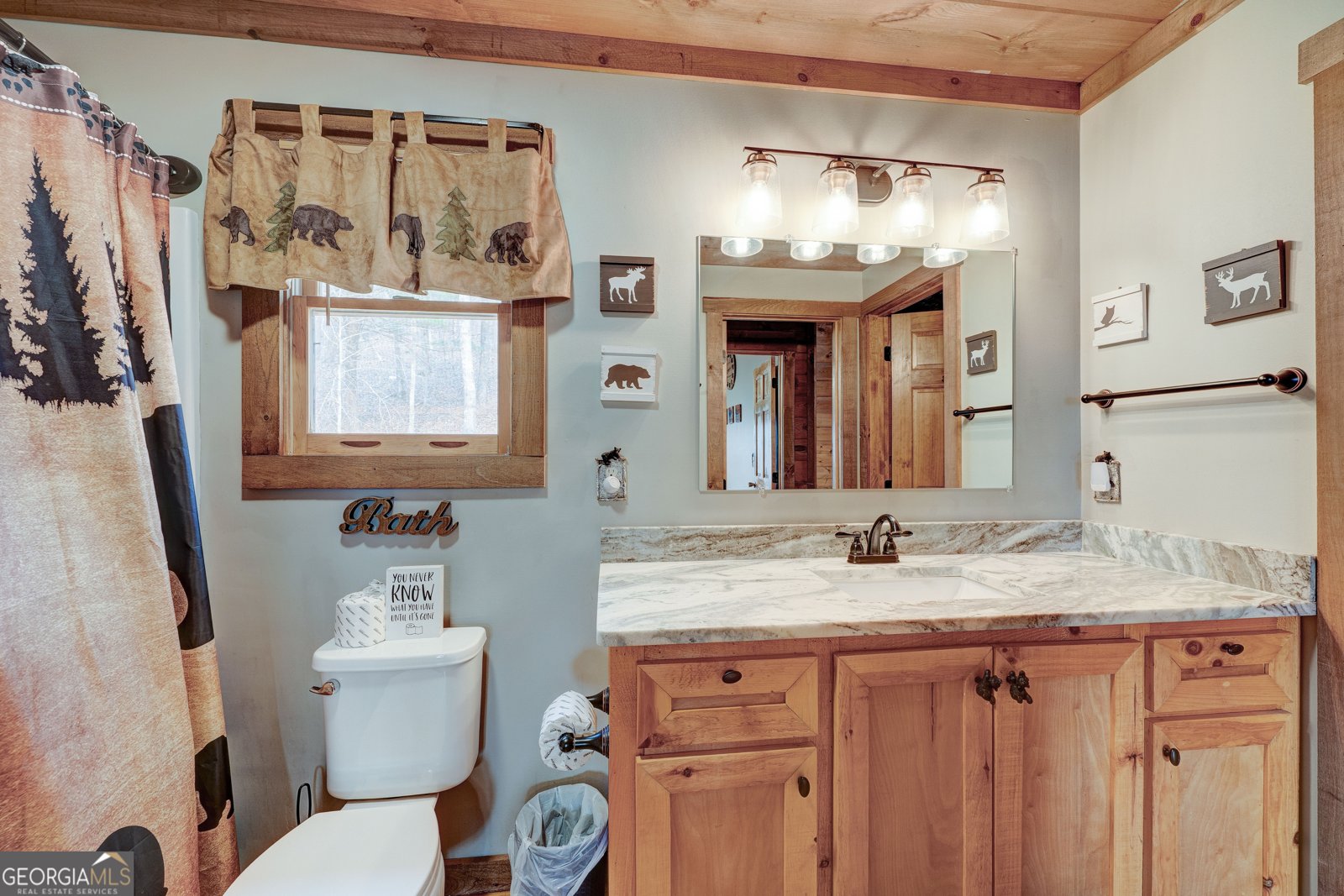 228 Centergate Drive Ellijay - 30