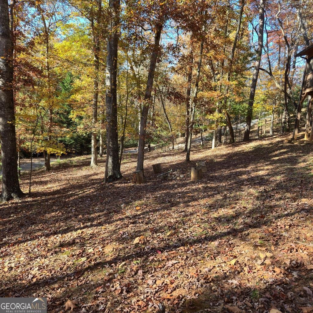 228 Centergate Drive Ellijay - 47