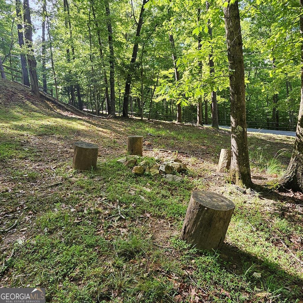 228 Centergate Drive Ellijay - 48