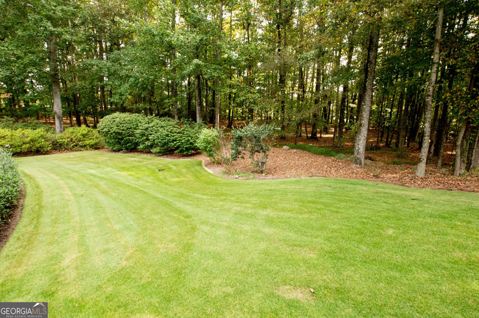3045 Camp Branch Road Buford - 91