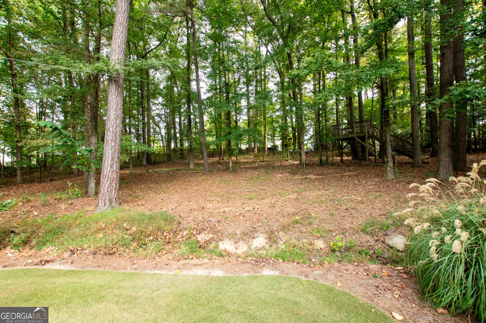 3045 Camp Branch Road Buford - 95