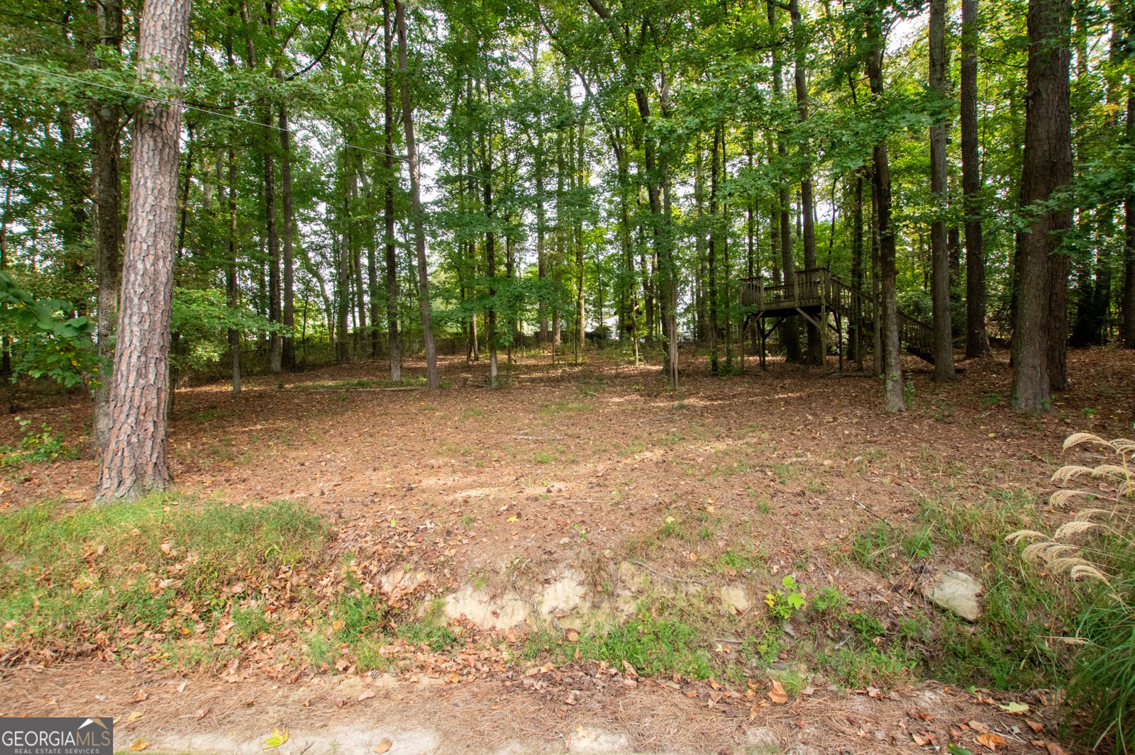 3045 Camp Branch Road Buford - 96