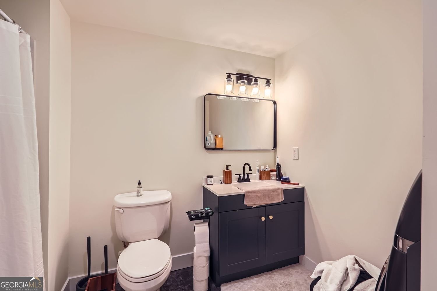 3619 Elinburg Court Buford - 39