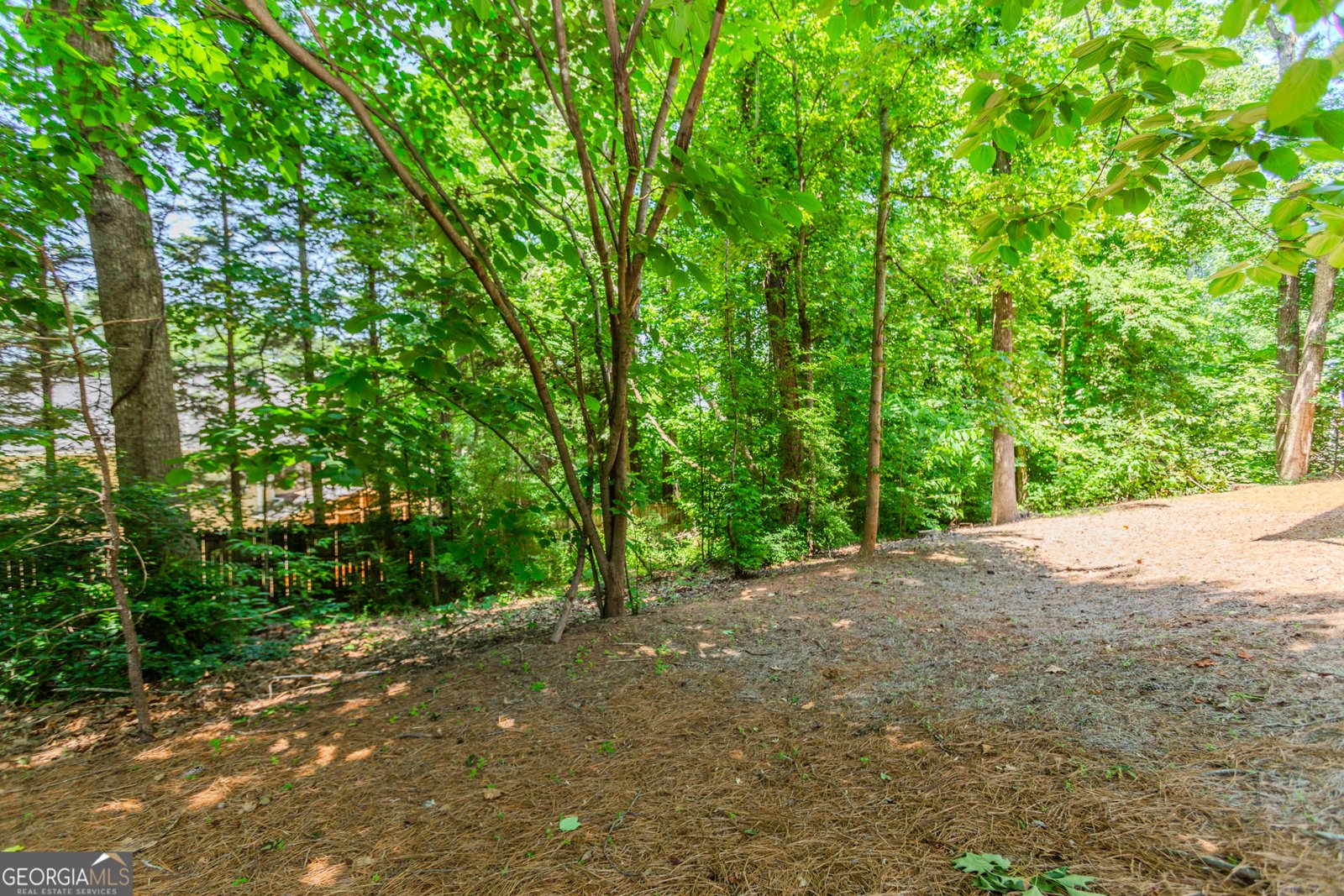 2205 Parliament Drive Lawrenceville - 46