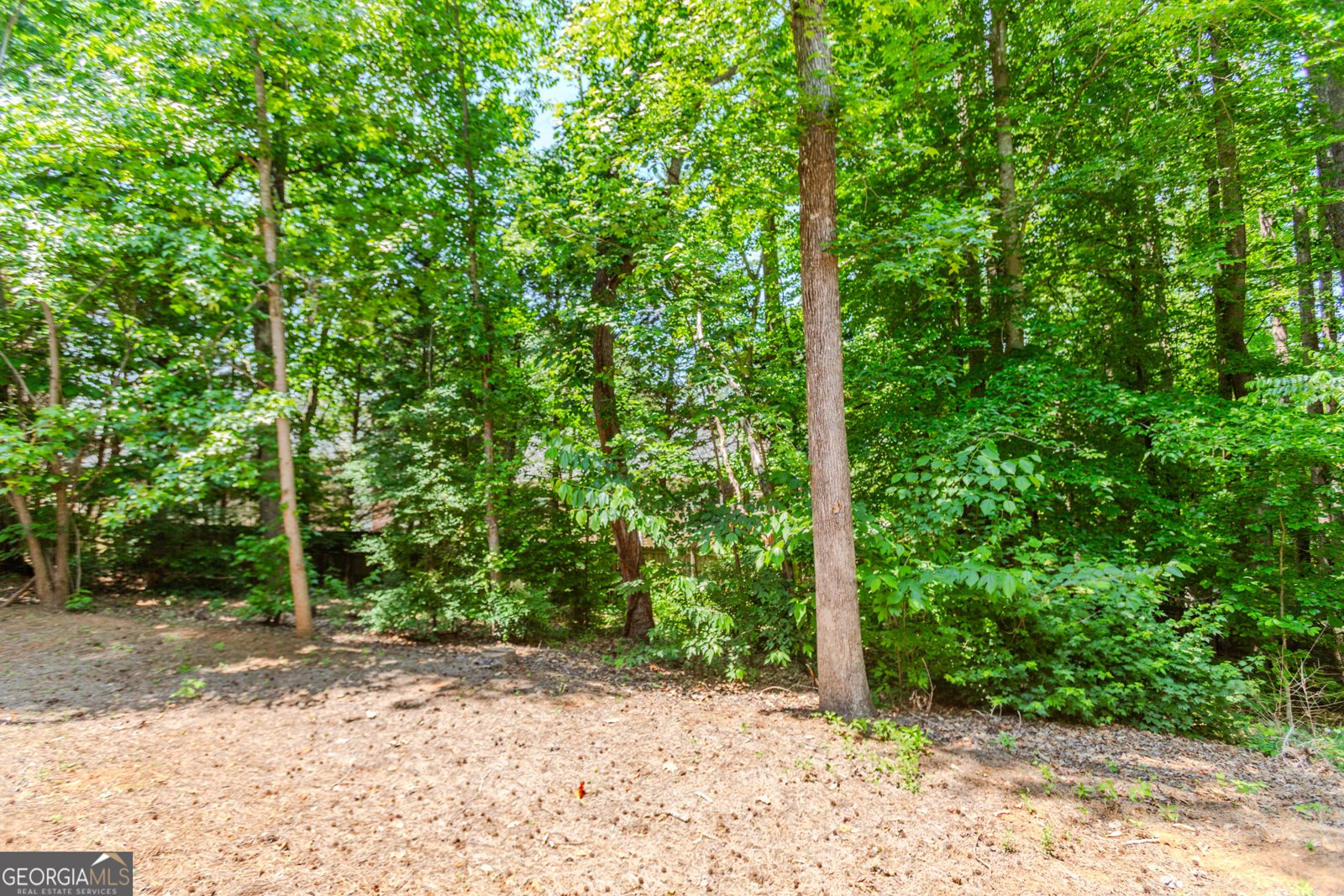 2205 Parliament Drive Lawrenceville - 47