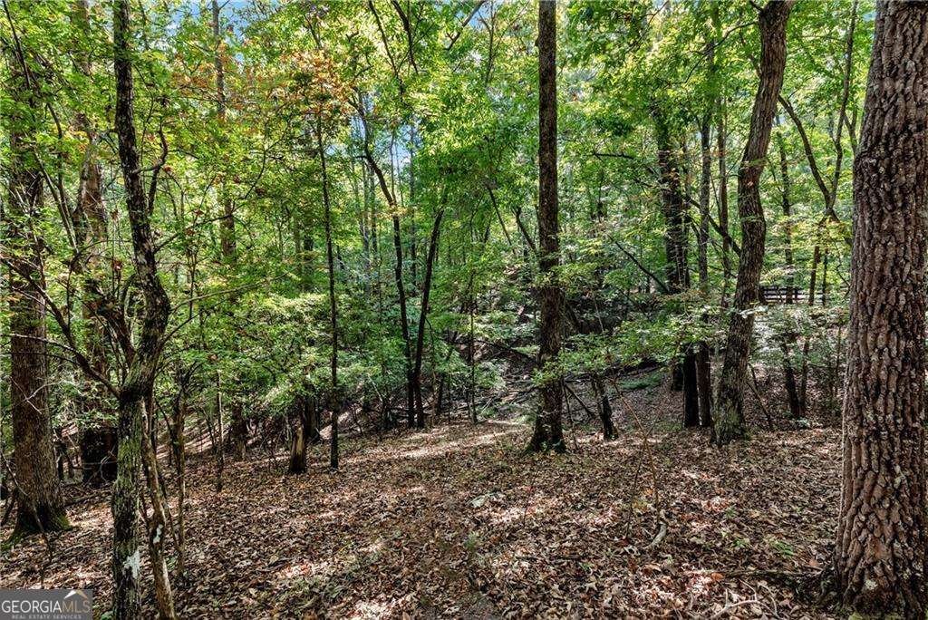 133 Stamp Mill Drive Dahlonega - 6