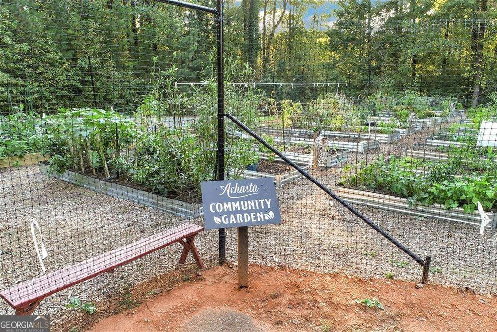 133 Stamp Mill Drive Dahlonega - 8
