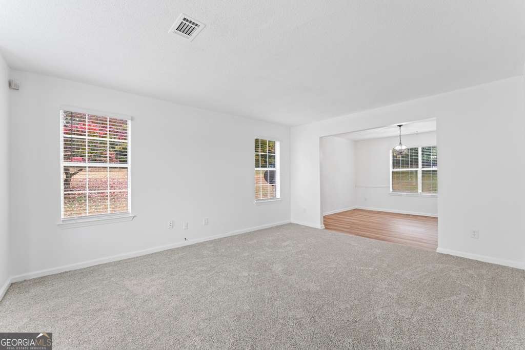 3529 Riverview Approach Ellenwood - 15
