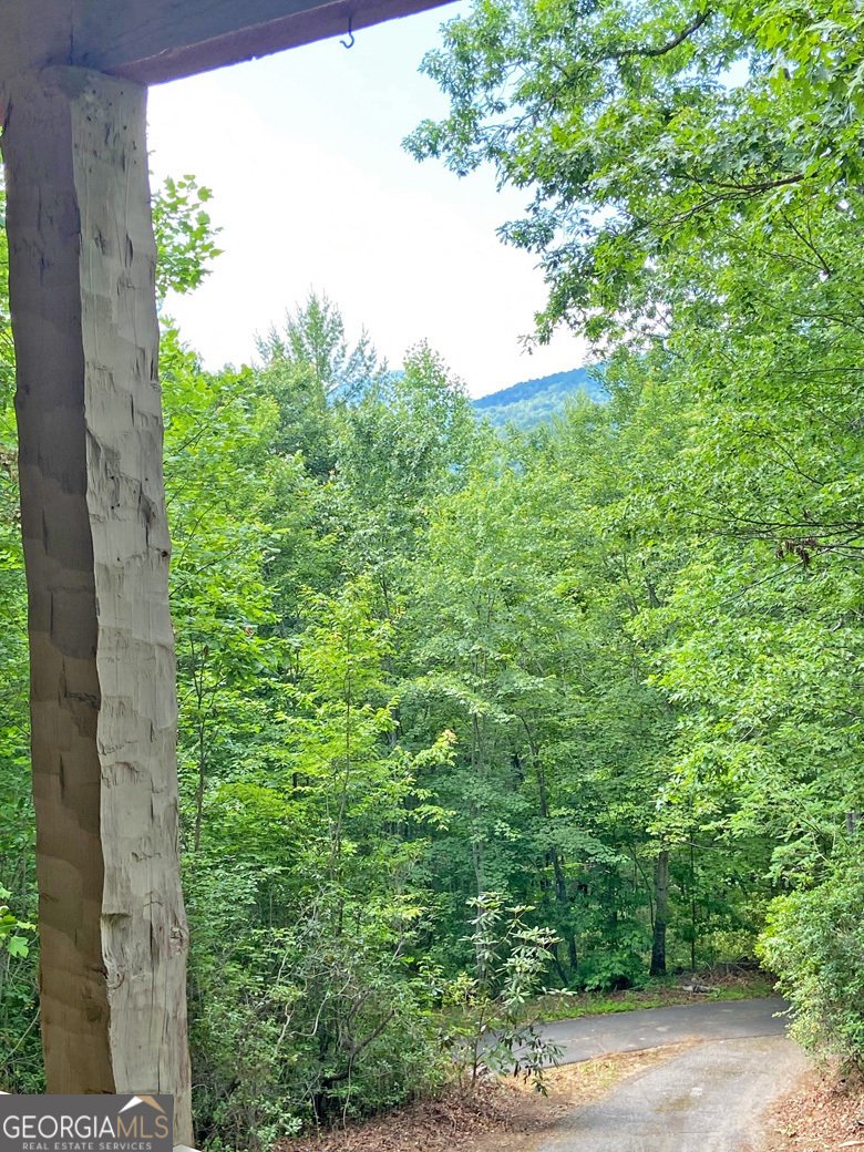 802 Pine Knot Drive Cleveland - 32