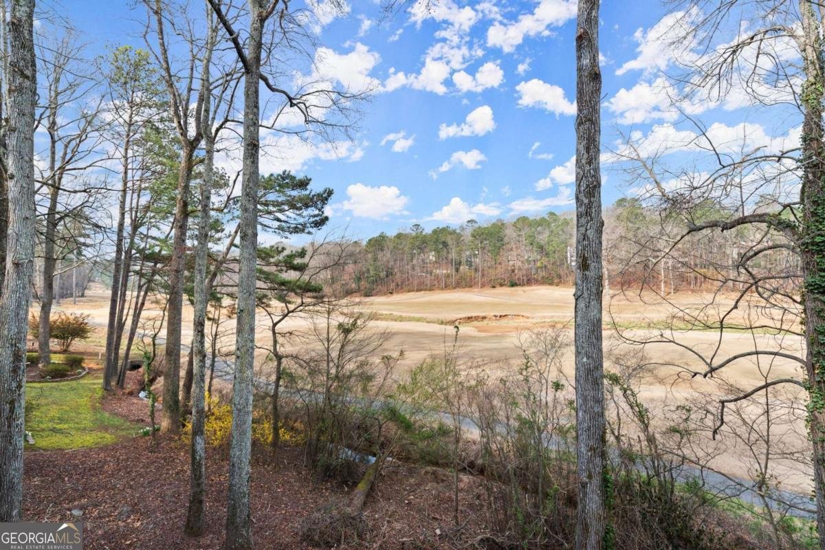 8700 Mount Rushmore Drive Alpharetta - 47