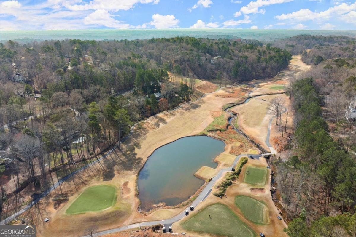 8700 Mount Rushmore Drive Alpharetta - 51
