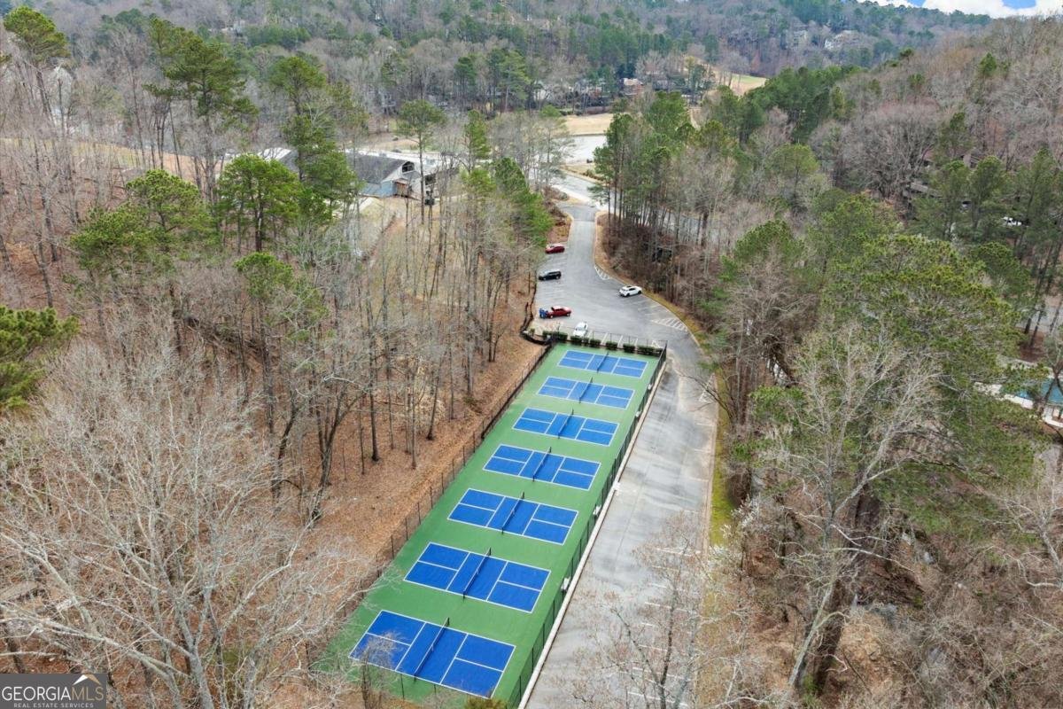 8700 Mount Rushmore Drive Alpharetta - 54