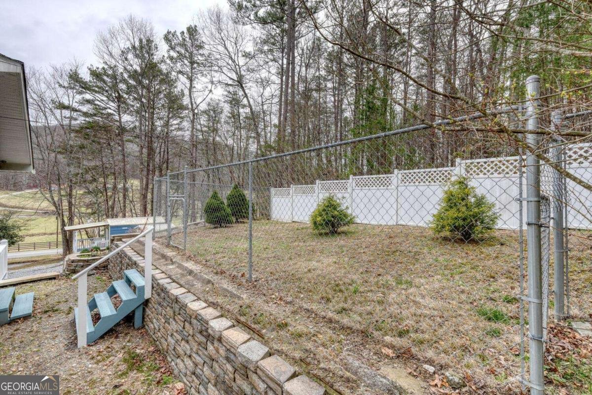 3514 Old Hwy 64 W Warne - 21