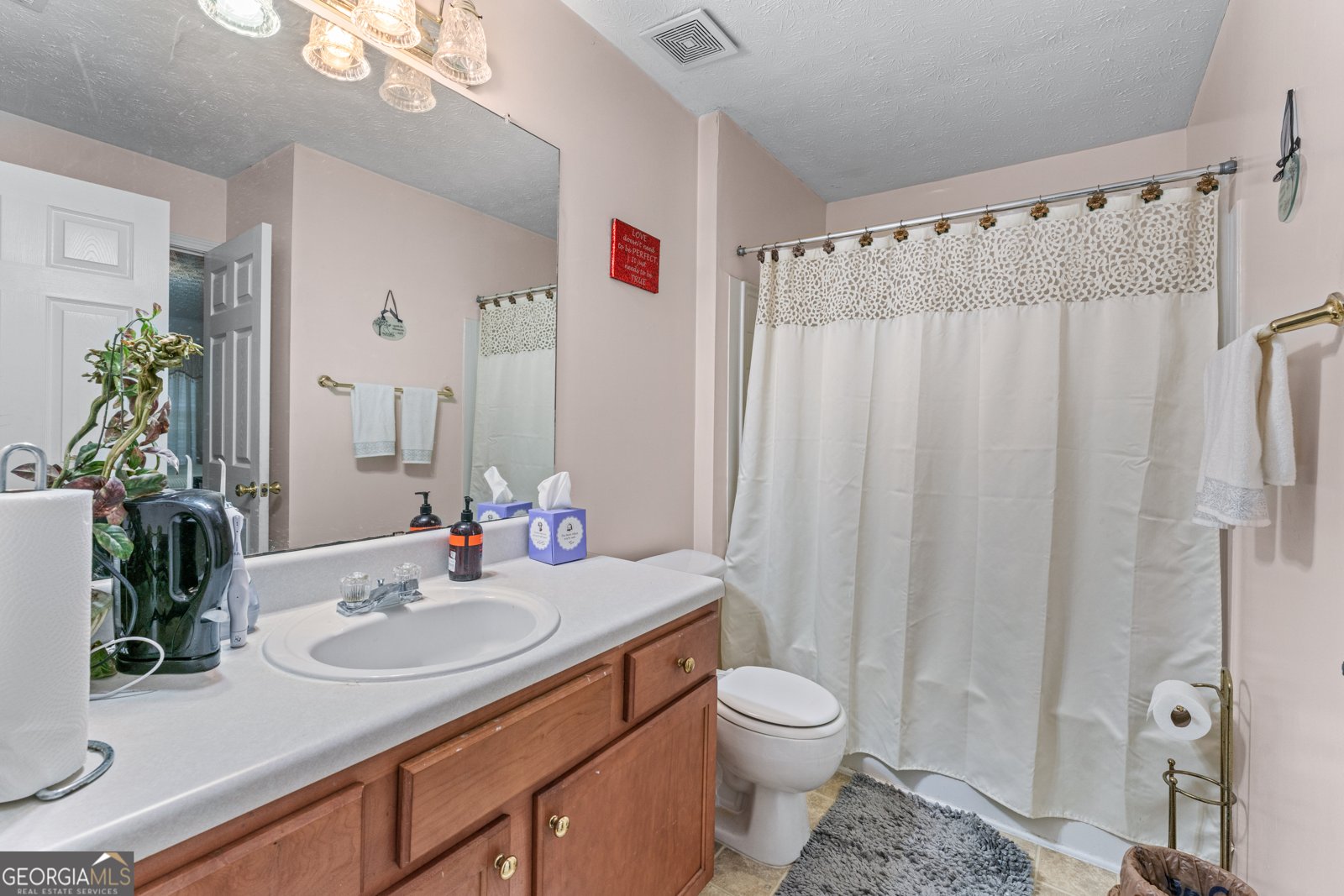 3920 Vine Gate Drive Lithonia - 17