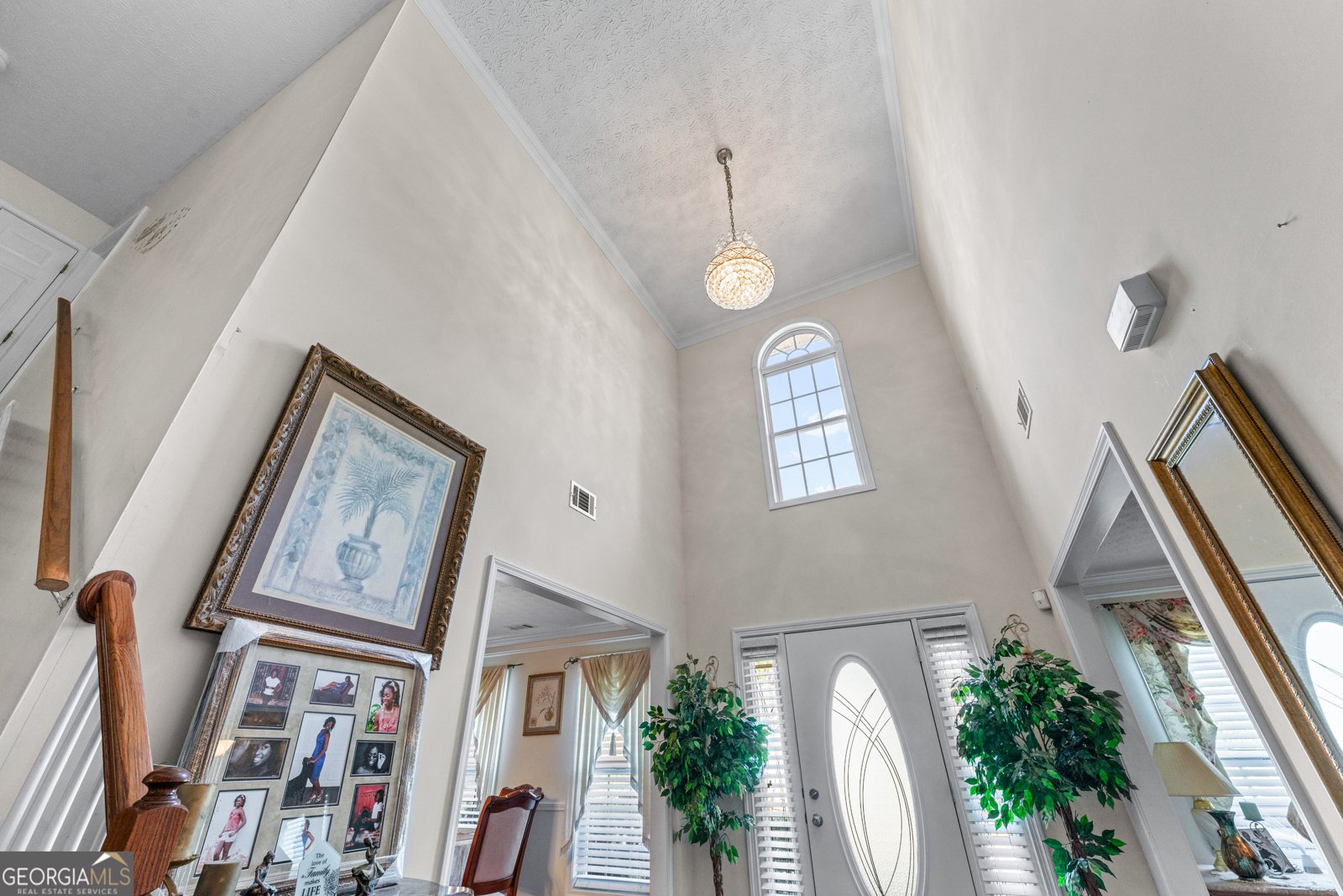 3920 Vine Gate Drive Lithonia - 18