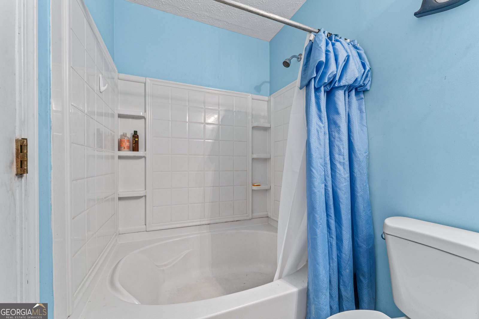 3920 Vine Gate Drive Lithonia - 22