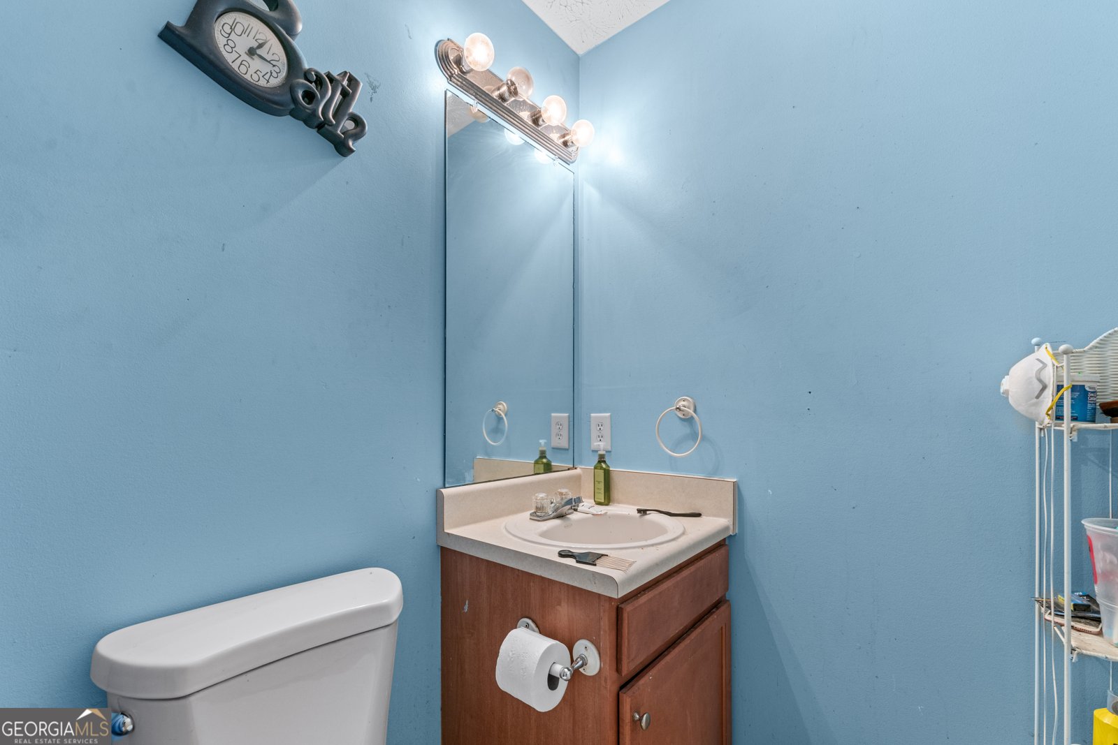 3920 Vine Gate Drive Lithonia - 23