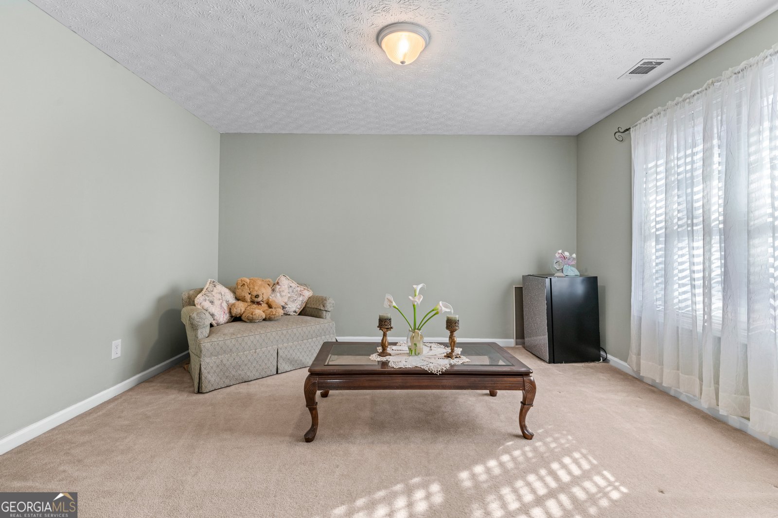3920 Vine Gate Drive Lithonia - 29