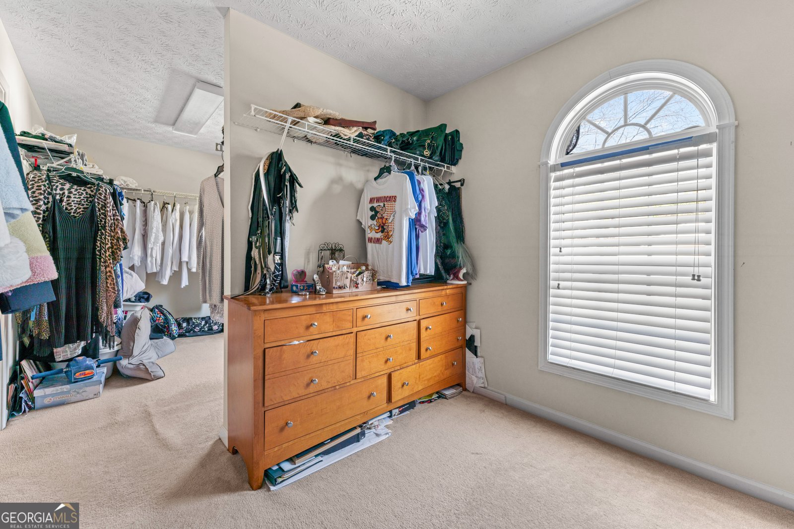 3920 Vine Gate Drive Lithonia - 30