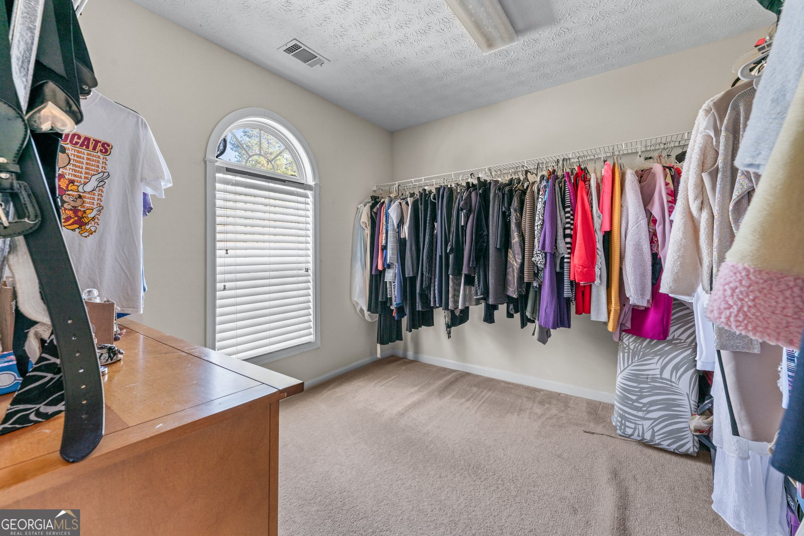 3920 Vine Gate Drive Lithonia - 31