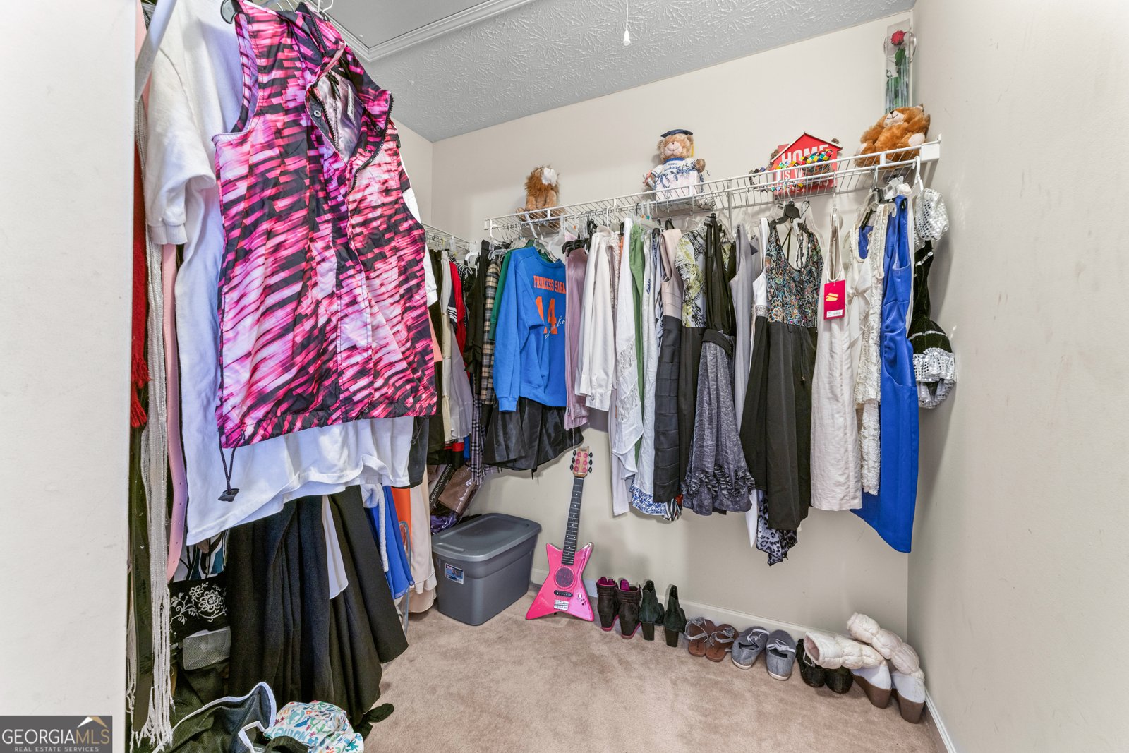 3920 Vine Gate Drive Lithonia - 36
